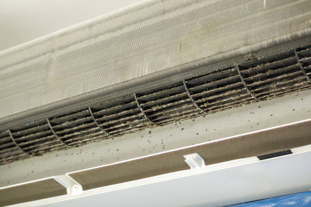 Best Ductwork Odor Removal in Pacific, MO